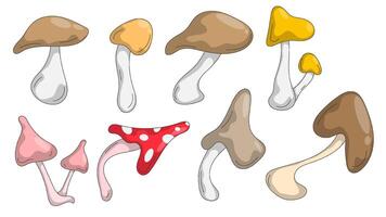 Set of cartoon edible and poisonous mushrooms with different shapes of caps. Hand drawn mushrooms for illustration decoration. Isolated image on white background vector