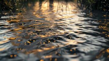 Water with raindrops and grass on it photo