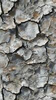A close up of a cracked wall with cracks photo