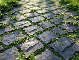 Stone path with grass and plants photo