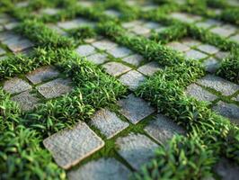 A green grassy path with stones and grass photo