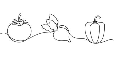 Continuous one line drawing of set of vegetables One line drawing illustration vector