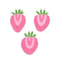 flat illustration of three pink strawberries. vector