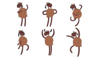 Funny Sheep Collection, Humanised Farm Animal Cartoon Character Standing on Hind Legs Illustration vector