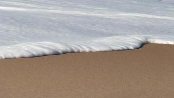 Tight Shot Of Ocean Waves Foam On Sand Beach With Single Sandpiper Bird Running video