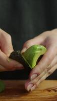The chef meticulously strips the outer layer of a delightful, vibrant green avocado, exposing the succulent interior. Close up. video