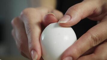 A clean chicken egg is carefully cleaned by hand, removing the shell that sticks to the whites. Close up. video