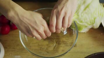 Housewife tears lettuce or iceberg lettuce leaves with her hands to divide it into smaller pieces and put them in a bowl. Top view. video