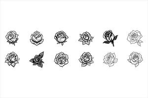 Bloom With Grace Like A Rose vector