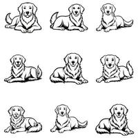 Life Is Better With A Golden Retriever vector
