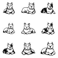 Playful And Powerful American Bully vector