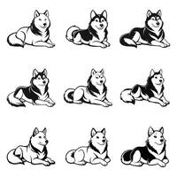 The Power Of An Alaskan Malamute vector