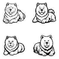 Chow Chow Dad vector