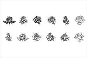 Life In Full Bloom With Roses vector
