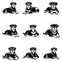 Strong And Loyal Rottweiler vector