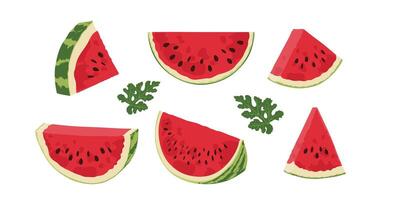 Set with watermelon slices. Hand drawn watermelon slices. vector