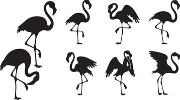 Collection of Flamingo silhouettes vector