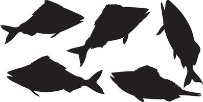 Collection of Haddock silhouettes vector
