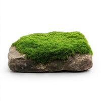 single piece of moss on rock with vibrant green color photo