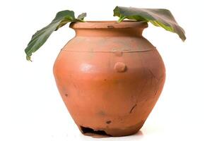 A large clay pot with a leaf growing out of it photo