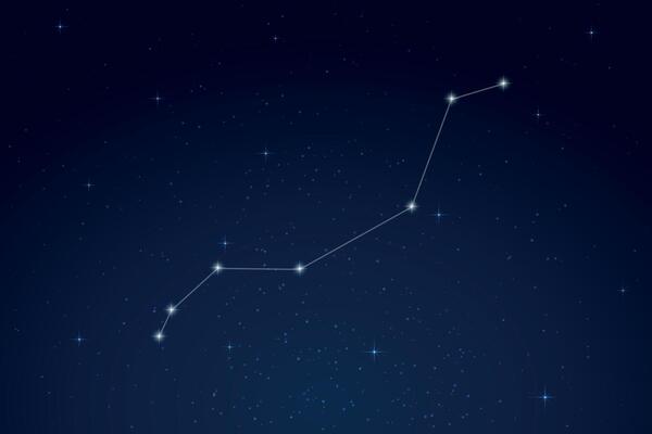 Lynx Constellation with Star Names in Night Sky