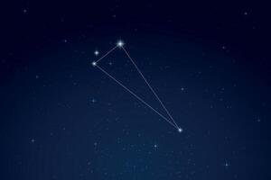 Triangulum Constellation with Star Names in Night Sky vector
