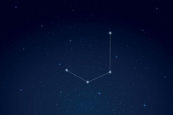 Mensa Constellation with Star Names in Night Sky