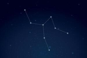 Camelopardalis Constellation with Star Names in Night Sky vector