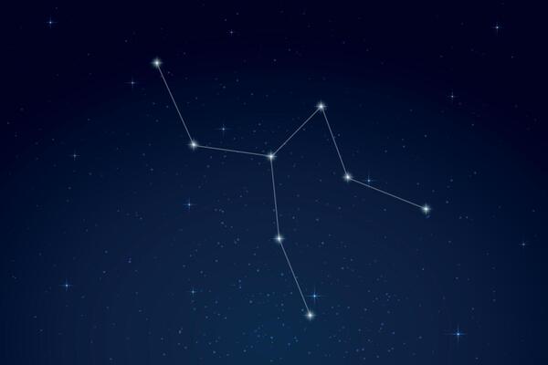 Camelopardalis Constellation with Star Names in Night Sky