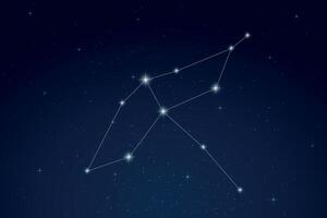 Cygnus Constellation with Star Names in Night Sky vector