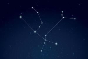 Andromeda Constellation with Star Names in Night Sky vector
