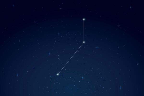 Pictor Constellation with Star Names in Night Sky