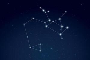 Sagittarius Constellation with Star Names in Night Sky vector