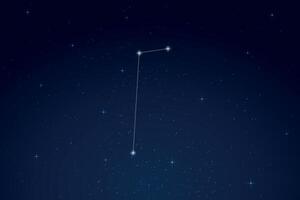 Equuleus Constellation with Star Names in Night Sky vector