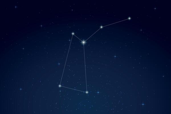 Musca Constellation with Star Names in Night Sky