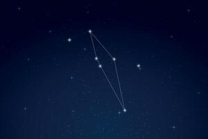 Scutum Constellation with Star Names in Night Sky vector