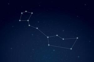 Cetus Constellation with Star Names in Night Sky vector