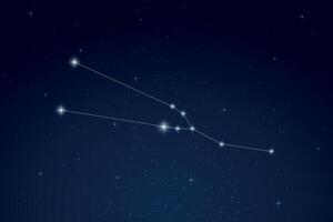 Taurus Constellation with Star Names in Night Sky vector