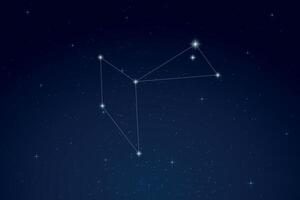 Phoenix Constellation with Star Names in Night Sky vector
