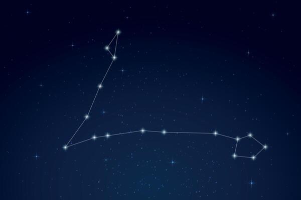 Pisces Constellation with Star Names in Night Sky