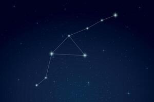 Grus Constellation with Star Names in Night Sky vector