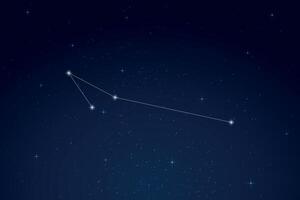 Apus Constellation with Star Names in Night Sky vector