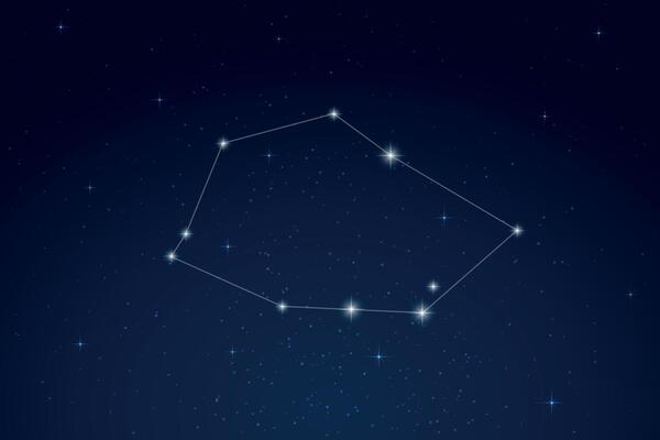 Vela Constellation with Star Names in Night Sky
