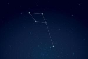 Delphinus Constellation with Star Names in Night Sky vector