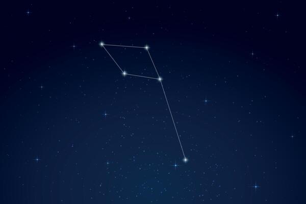Delphinus Constellation with Star Names in Night Sky