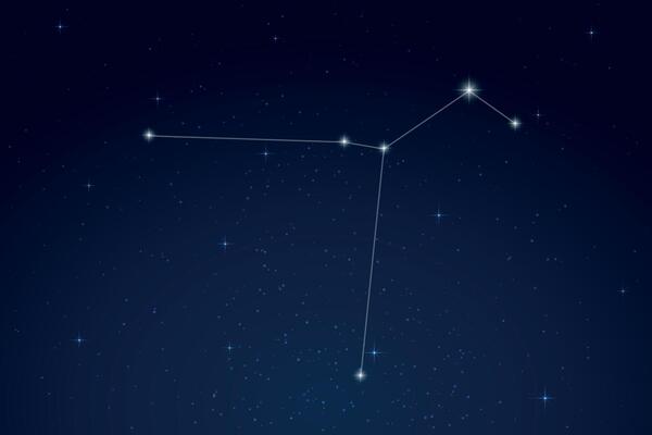Columba Constellation with Star Names in Night Sky