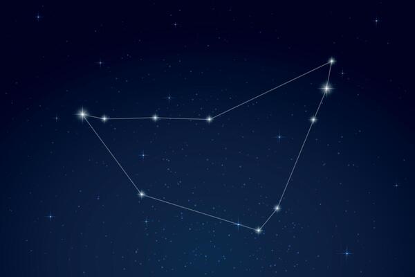 Capricornus Constellation with Star Names in Night Sky