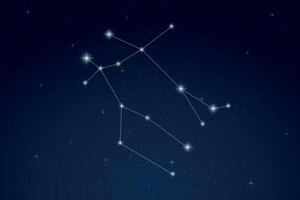 Gemini Constellation with Star Names in Night Sky vector
