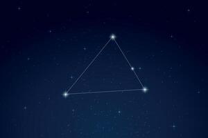Triangulum Australe Constellation with Star Names in Night Sky vector