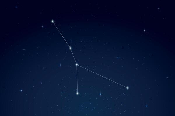 Cancer Constellation with Star Names in Night Sky